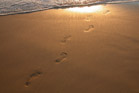 Naturlig fodmassage i sand
